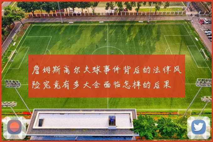 詹姆斯高尔夫球事件背后的法律风险究竟有多大会面临怎样的后果